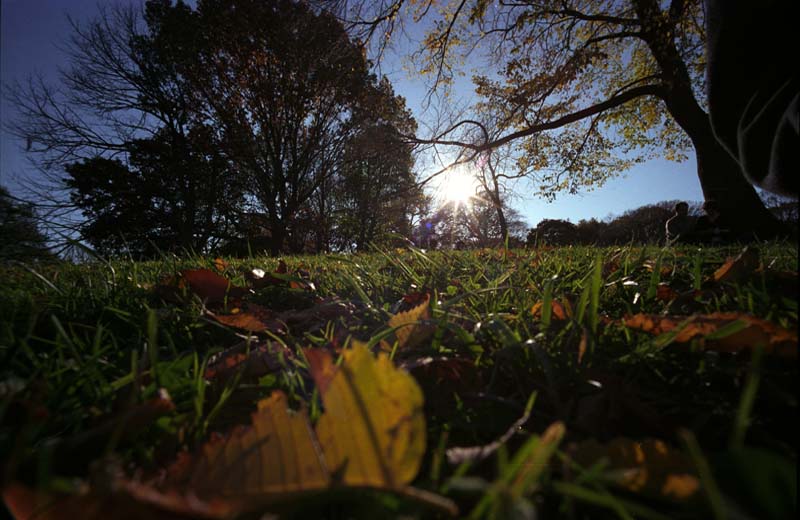 Prospect Park Brooklyn